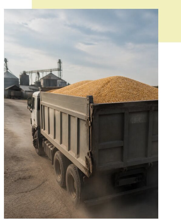 Перевозка сельхозпродукции навалом в Ковров по цене от 3070 р. | Агросервис-Квр
